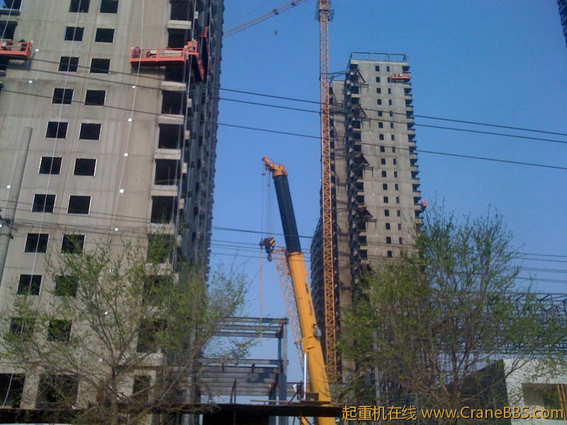 手机照片 7194.jpg