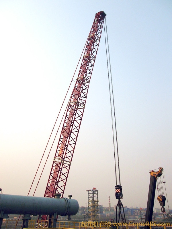 IMG_3595_副本.jpg