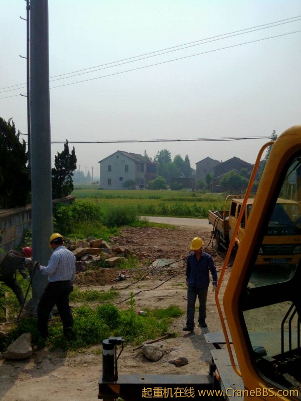 lvminghua4568hl110maomao78300.jpeg