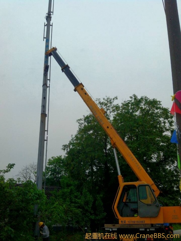 lvminghua4568hl110maomao78437.jpeg