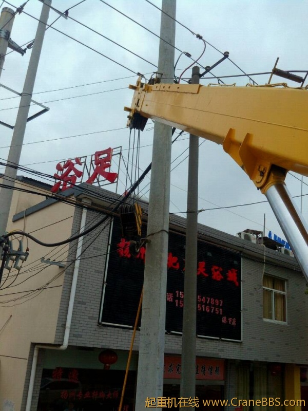 lvminghua4568hl110maomao79181.jpeg