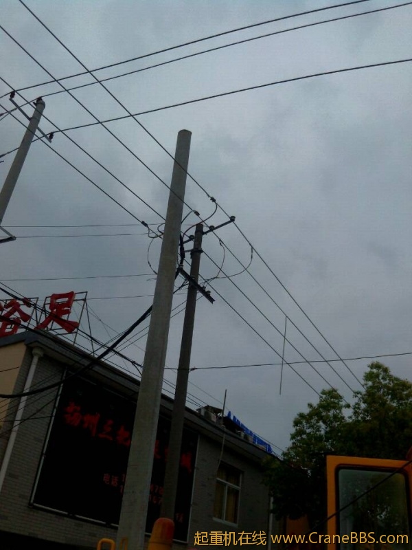 lvminghua4568hl110maomao79184.jpeg