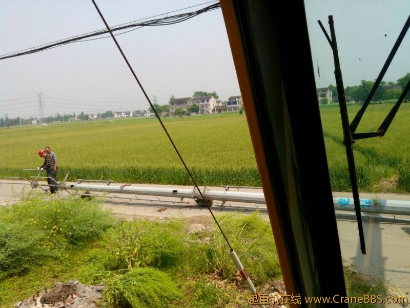 lvminghua4568hl110maomao78327.jpeg