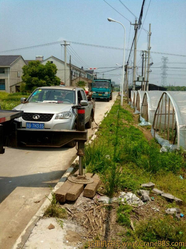 lvminghua4568hl110maomao79700.jpeg