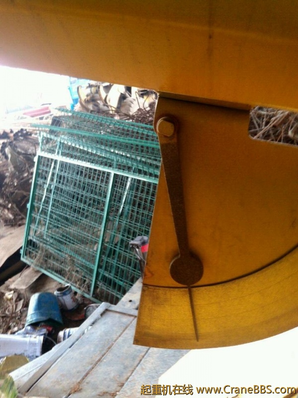 lvminghua4568hl110maomao79277.jpeg