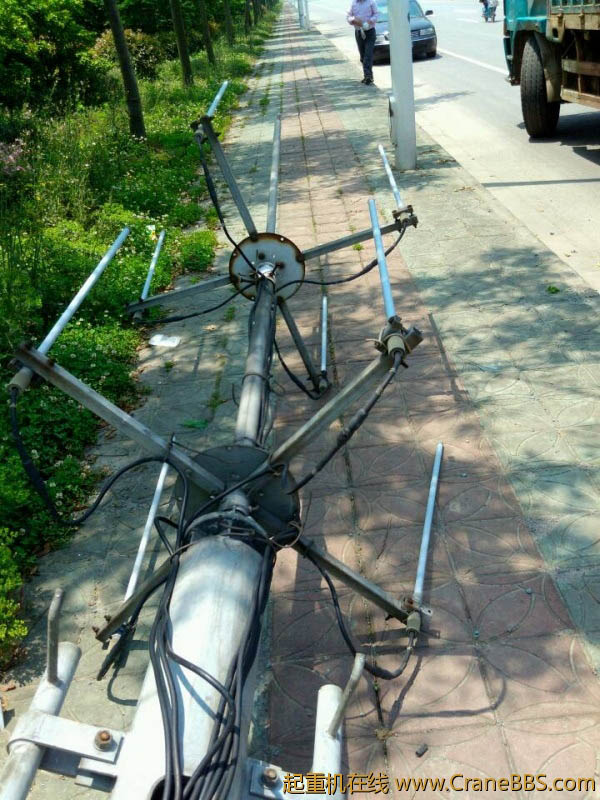 lvminghua4568hl110maomao80036.jpeg