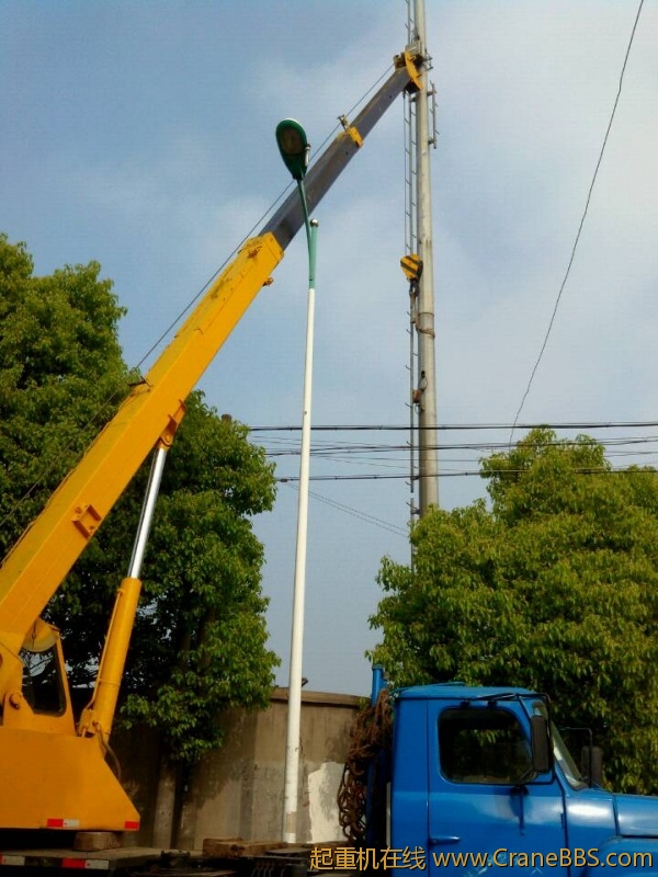 lvminghua4568hl110maomao79902.jpeg