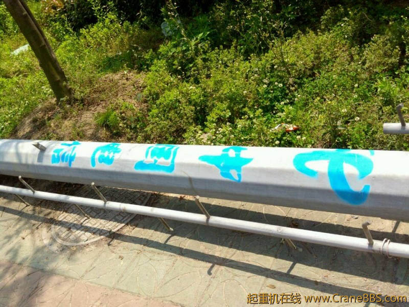 lvminghua4568hl110maomao80059.jpeg