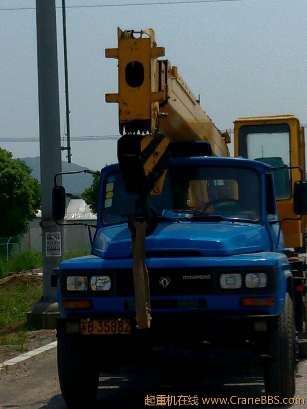 lvminghua4568hl110maomao80076.jpeg