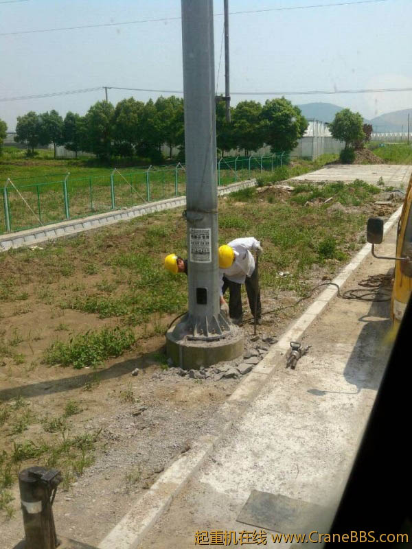 lvminghua4568hl110maomao80079.jpeg