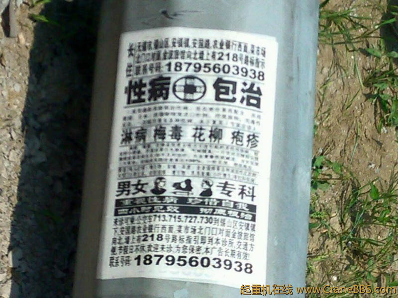 lvminghua4568hl110maomao80081.jpeg