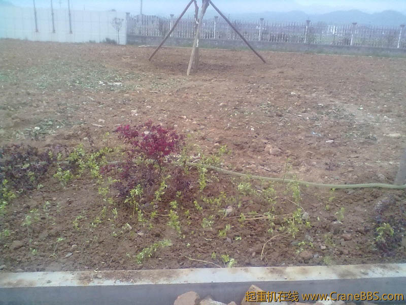 照片4.13 013.jpg
