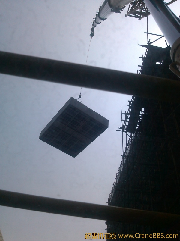 IMG_20120511_140232.jpg