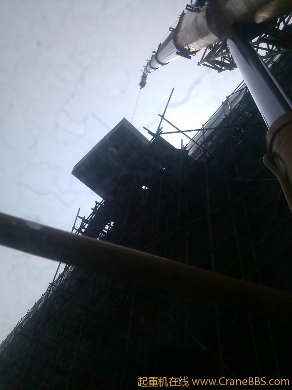IMG_20120511_140310.jpg