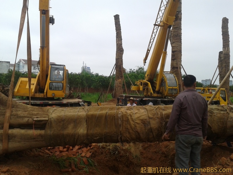 2012-05-16 08.45.33.jpg