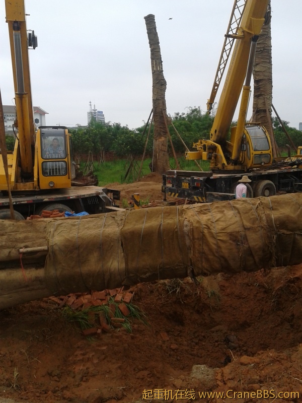 2012-05-16 08.45.49.jpg