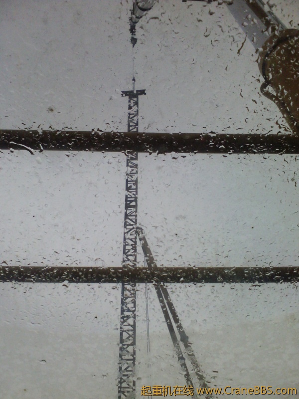 IMG_20120420_162534.jpg