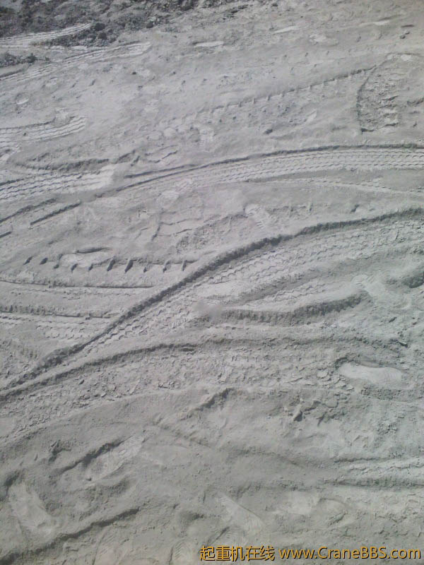 IMG_20120428_095216.jpg