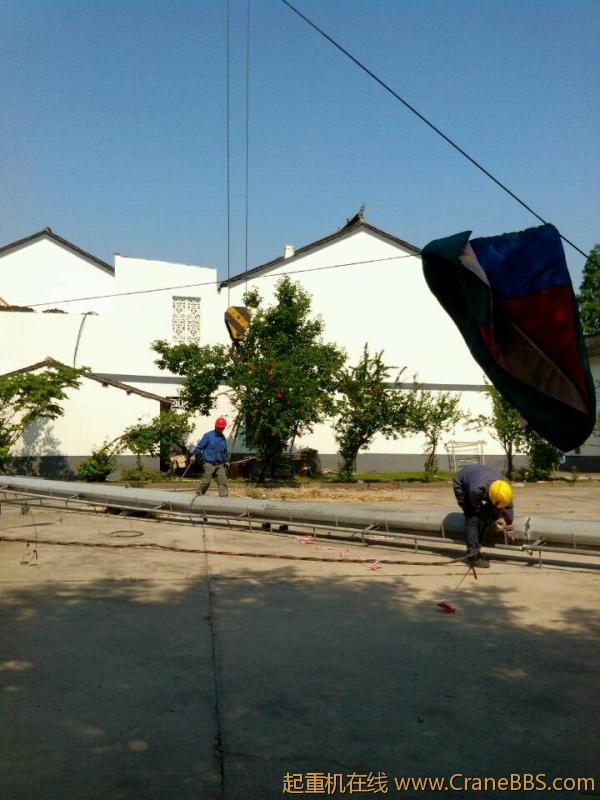 lvminghua4568hl110maomao82404.jpeg