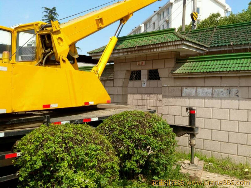 lvminghua4568hl110maomao82240.jpeg