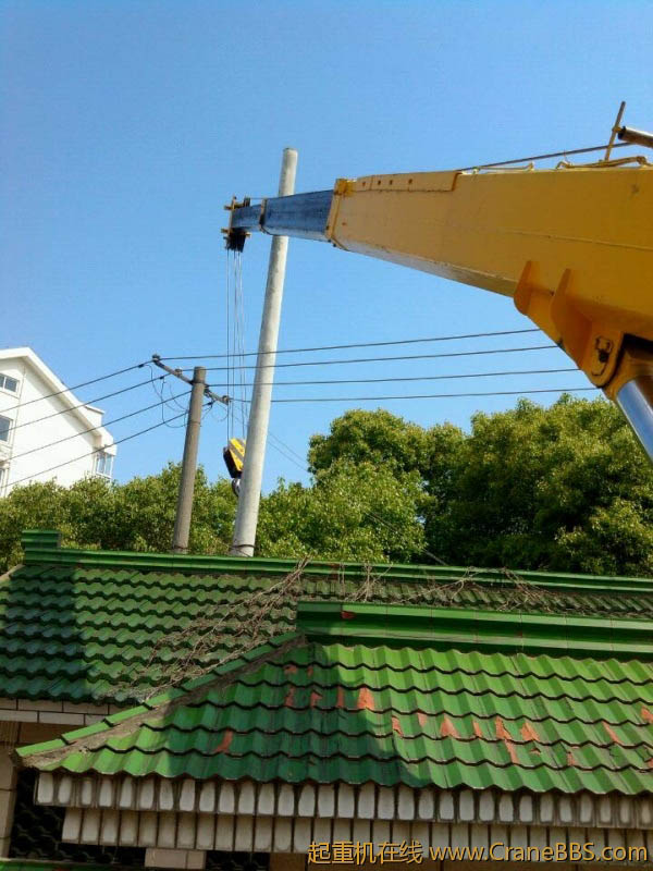 lvminghua4568hl110maomao82244.jpeg