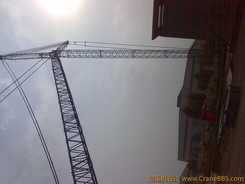 20120519944.jpg