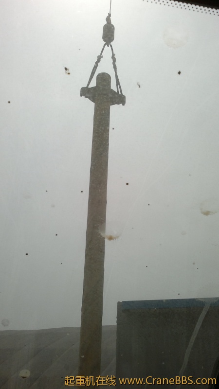 20120507206.jpg
