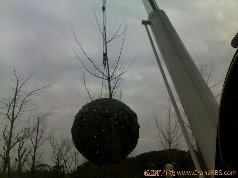20111218049.jpg