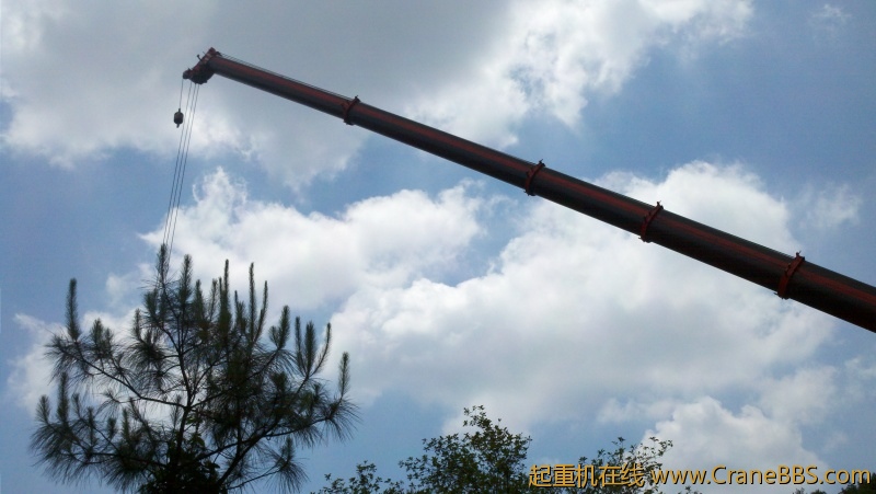 2012-05-24_11-31-45_925.jpg