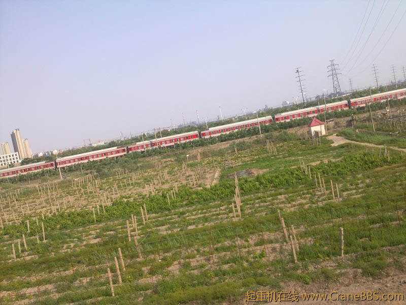 20120515144.jpg