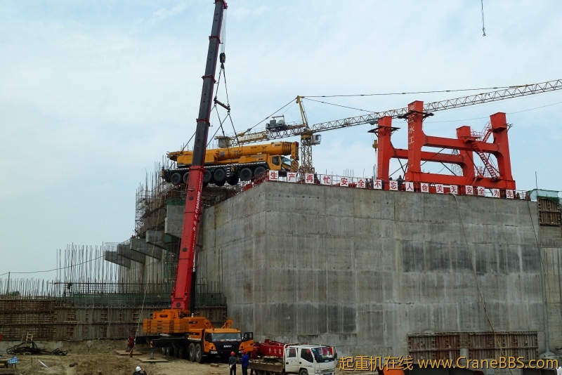 conew_p1020197.jpg