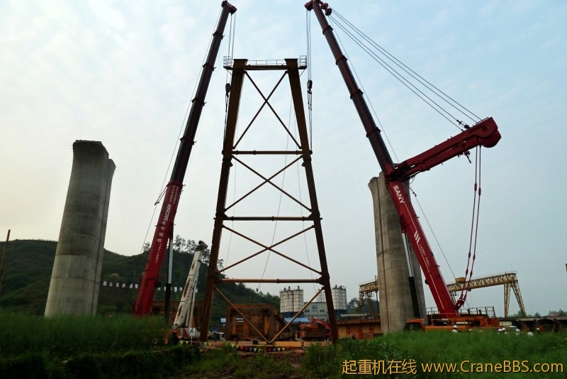 conew_p1020205.jpg