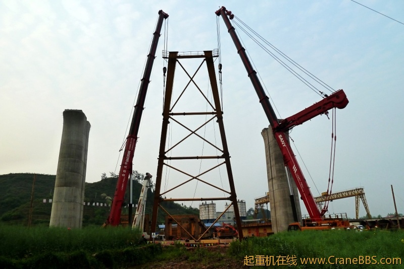 conew_p1020206.jpg