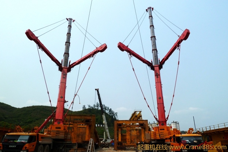 conew_p1020213.jpg