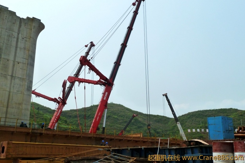 conew_p1020211.jpg