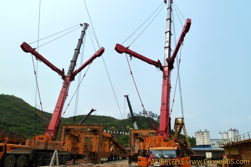 conew_p1020212.jpg