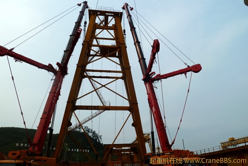 conew_p1020222.jpg