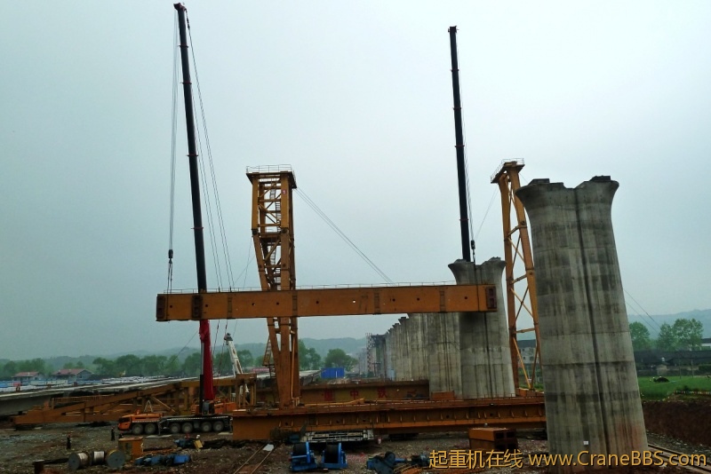 conew_p1020226.jpg