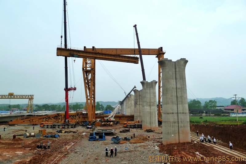 conew_p1020234.jpg