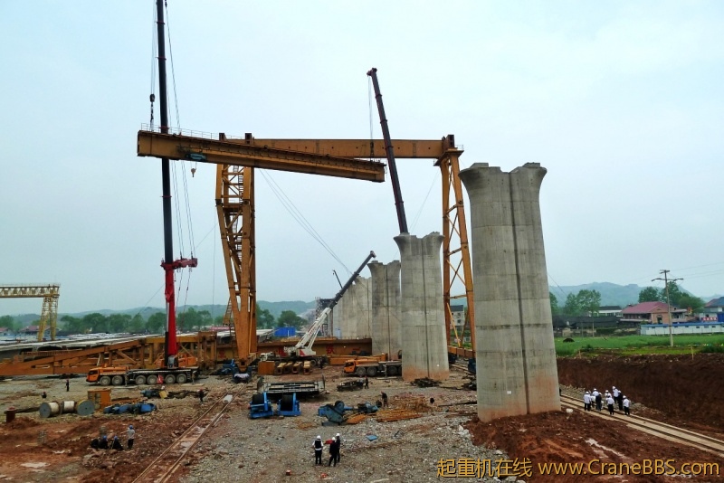 conew_p1020235.jpg