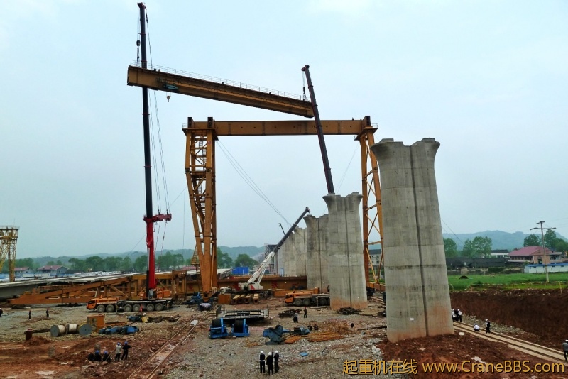 conew_p1020236.jpg