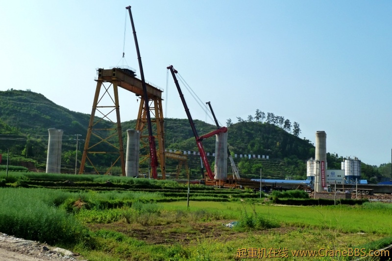 conew_p1020240.jpg