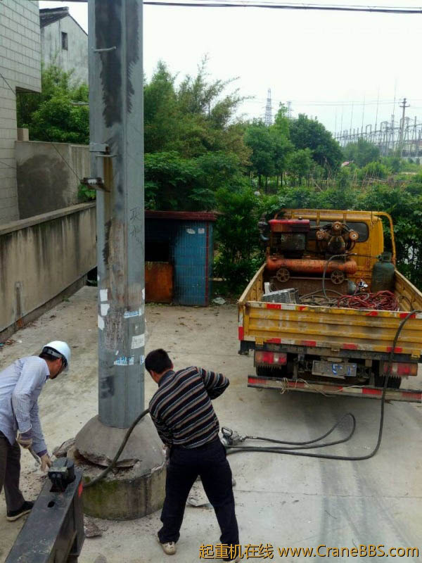 lvminghua4568hl110maomao84648.jpeg