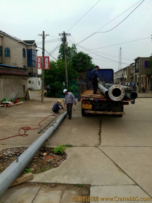 lvminghua4568hl110maomao84670.jpeg