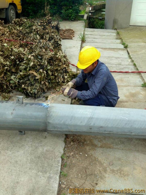 lvminghua4568hl110maomao84679.jpeg