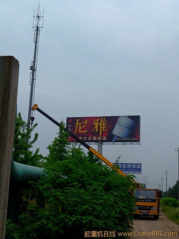 lvminghua4568hl110maomao84806.jpeg