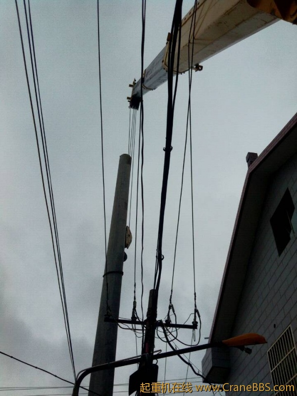 lvminghua4568hl110maomao85040.jpeg