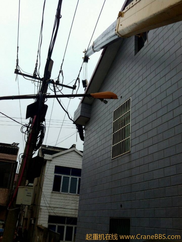 lvminghua4568hl110maomao85059.jpeg