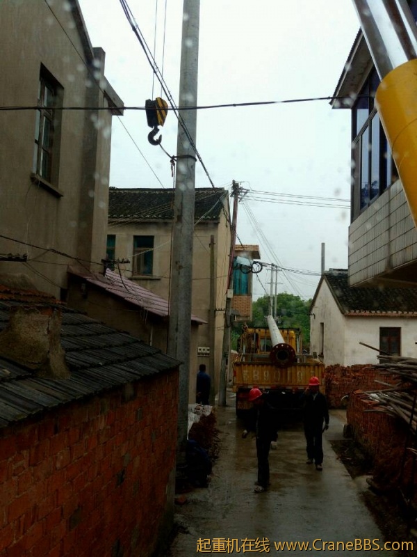 lvminghua4568hl110maomao85019.jpeg