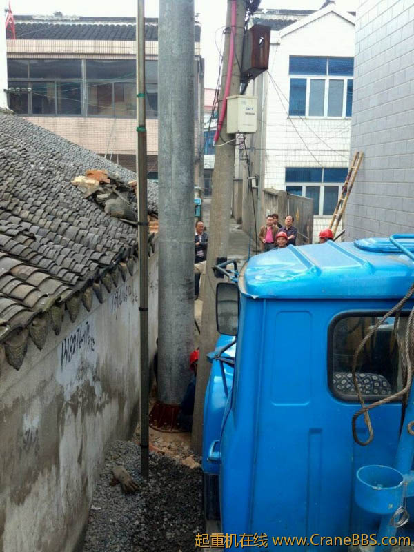 lvminghua4568hl110maomao85130.jpeg